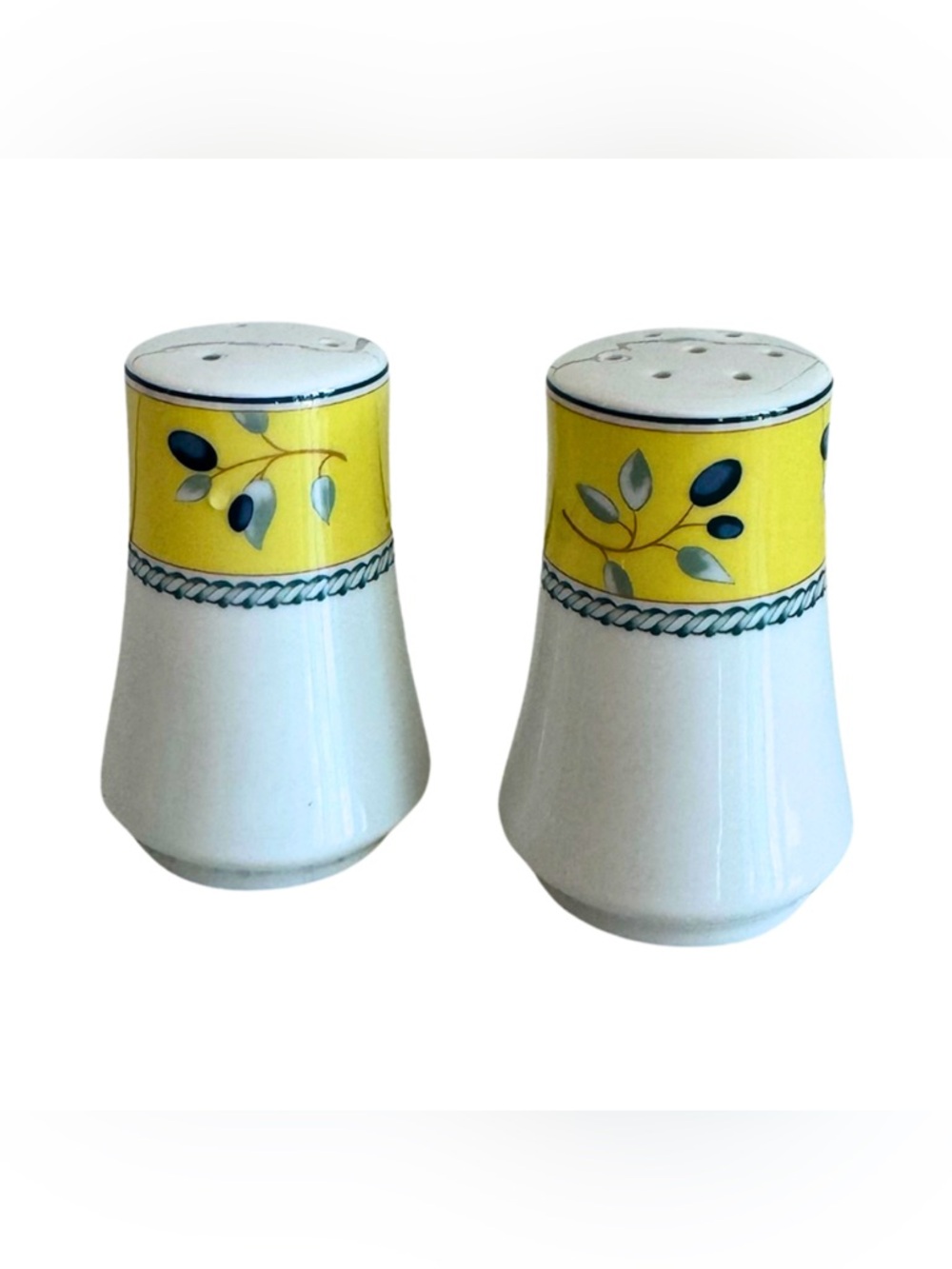 EUC Royal Doulton Blueberry Print Salt and Pepper Shakers